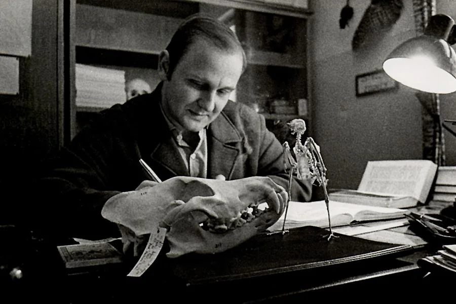 A young Andrzej Ruprecht examining a mammal skull at his scientific desk